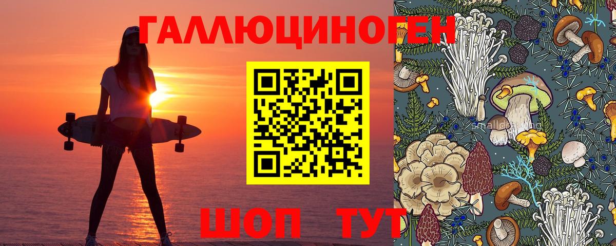 Котовск  Галлюциногенные грибы Psilocybe  Вход с VPN  Галлюциногенные грибы мицелий 